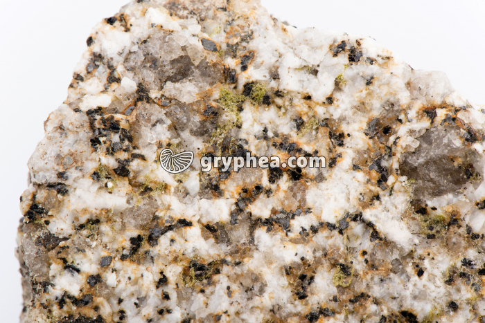 Granite altéré - gryphea.com